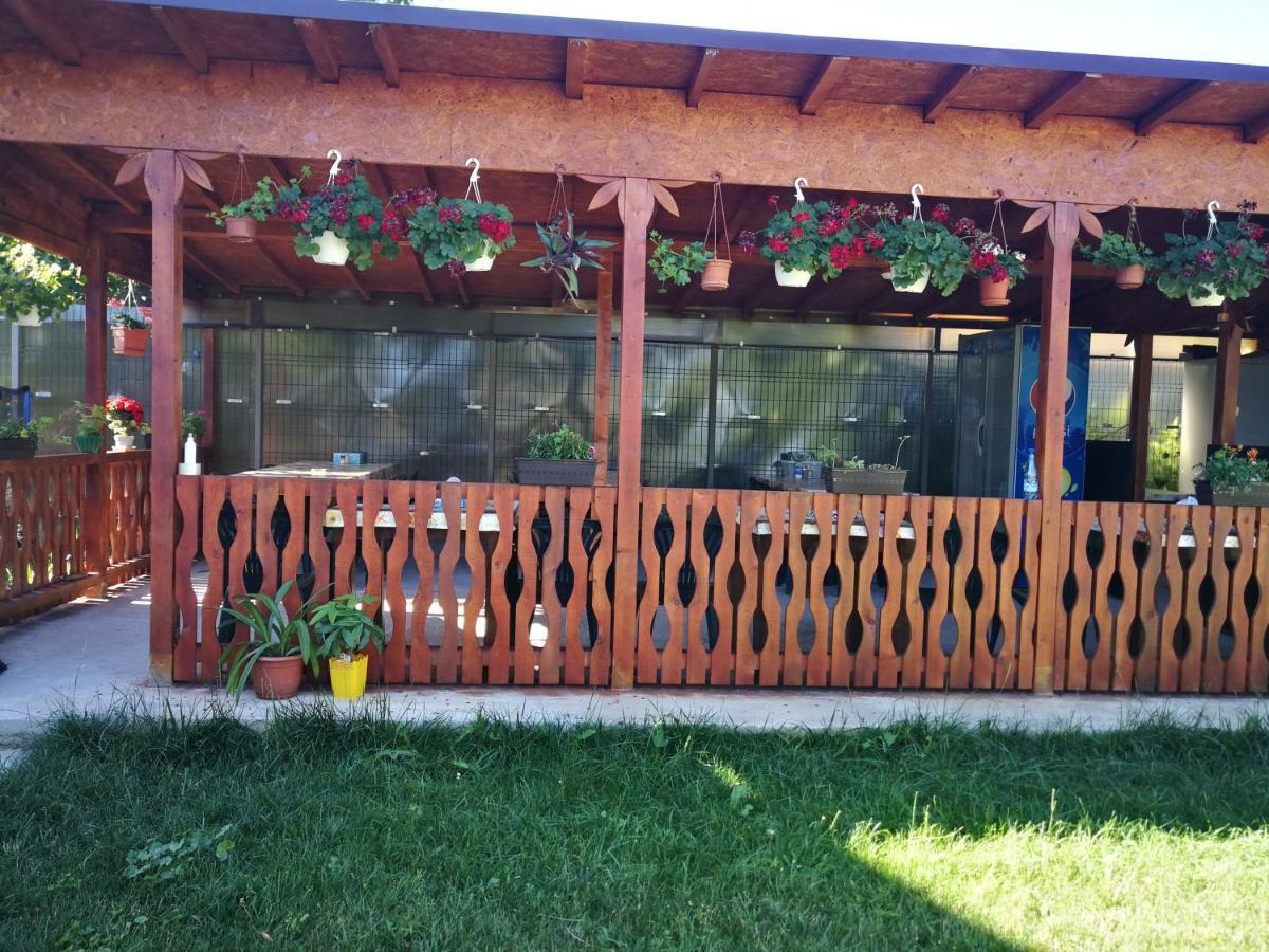Vila Baciu Hotel Tuzla Exterior foto